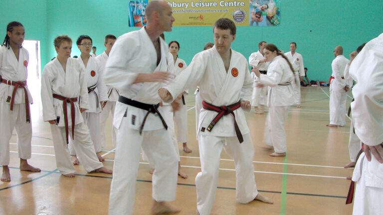 z1 1 - Karate Masters