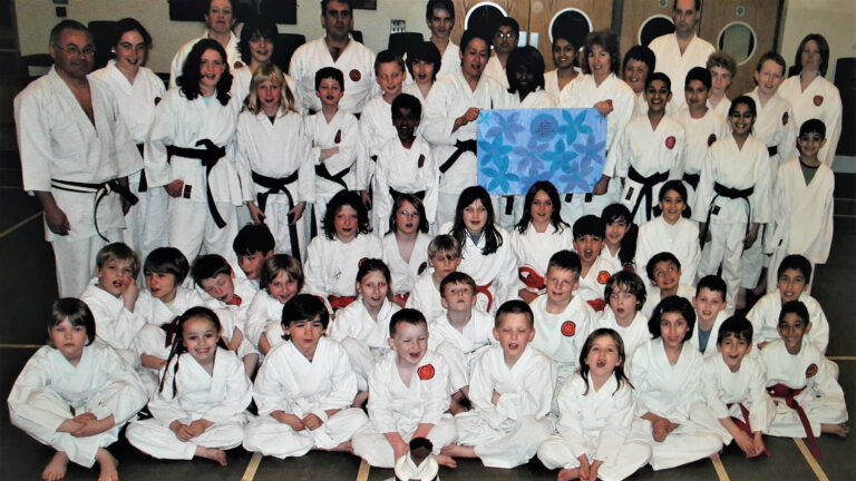 z3 1 - Karate Masters